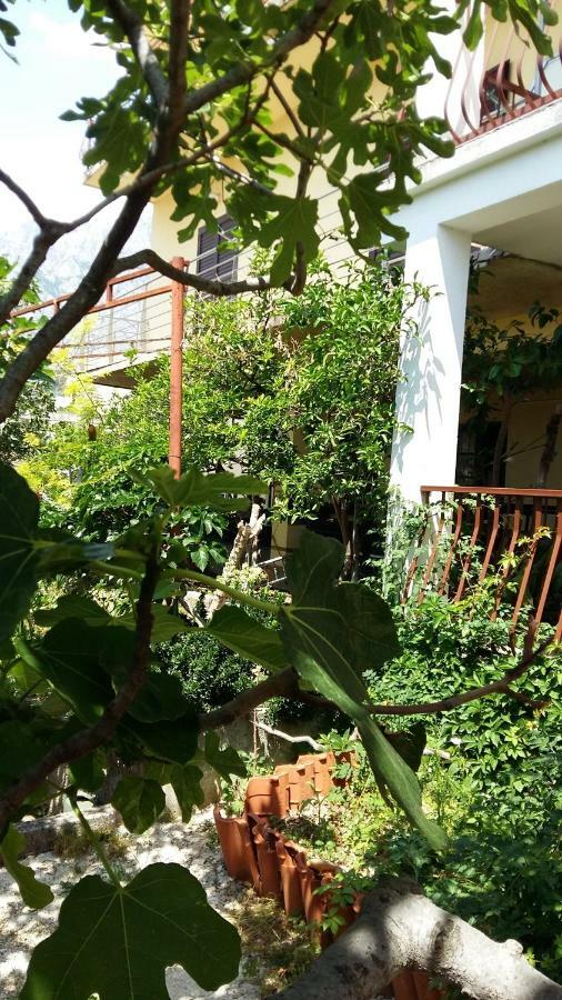 Apartmani Ivanka Makarska Exterior foto